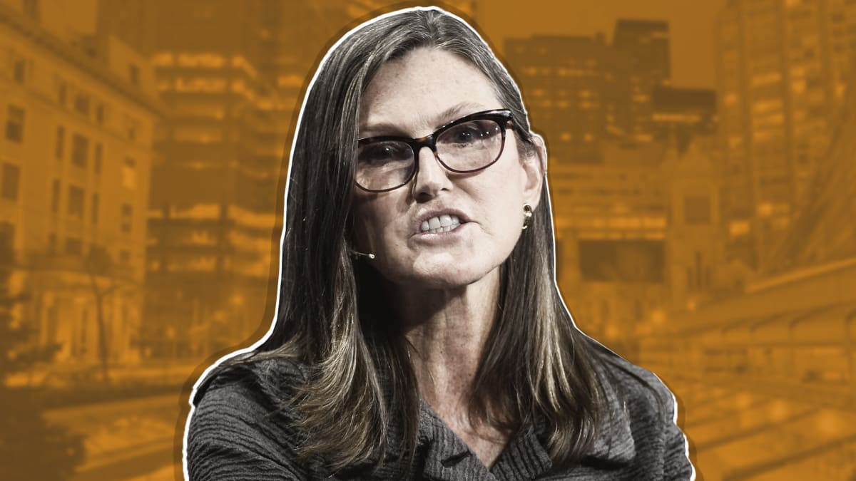 Cathie Wood Watch: Ark Buys Teladoc, Sells More Shopify | Baker City Herald