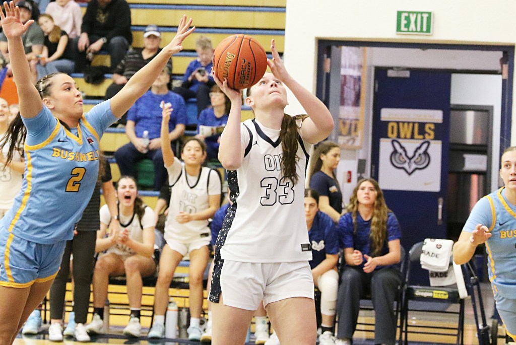 55015042914_44ed982bf9_o.jpg?w=1024